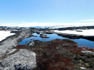 Okolice Ilulissat