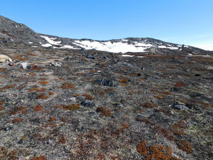 Okolice Ilulissat