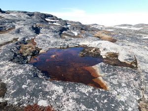 Okolice Ilulissat