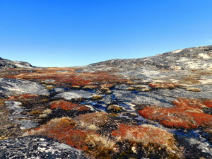 Okolice Ilulissat