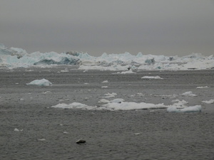 Ilulissat