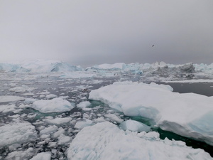 Lodowy Fiord Ilulissat (Kangia)