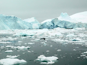 Lodowy Fiord Ilulissat (Kangia)