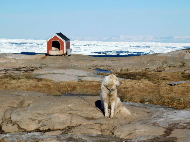 Okolice Ilulissat