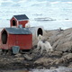 Okolice Ilulissat