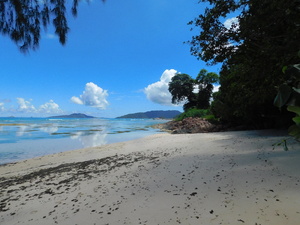 Seszele - Praslin