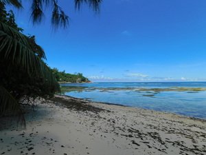 Seszele - Praslin