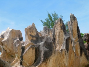 Seszele - Curieuse