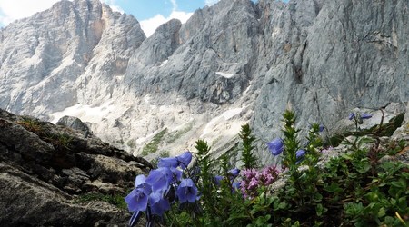 Dachstein