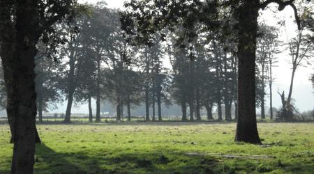 walijskie łąki – Walia, Wielka Brytania