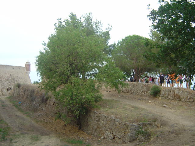 Saint Tropez
