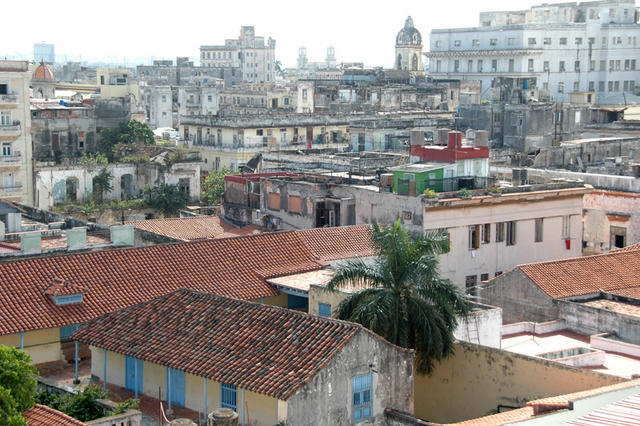 DSC 3001