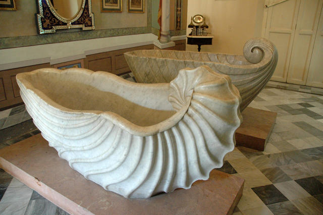 DSC 3050