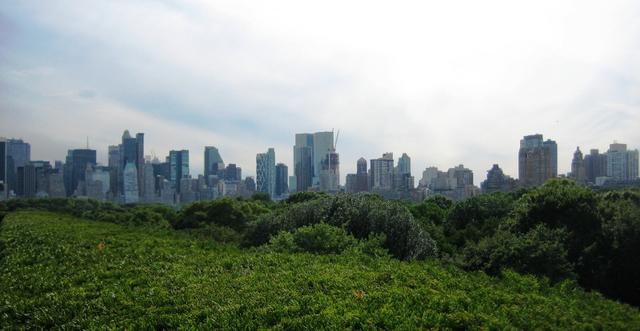 NYC11