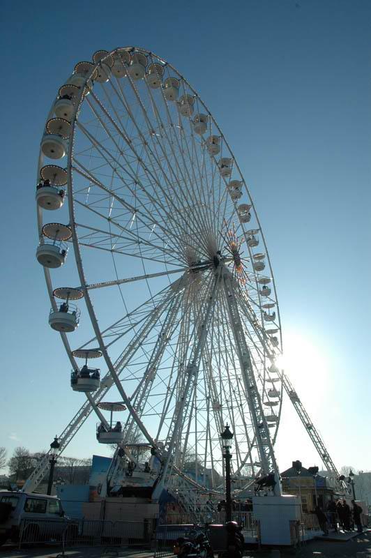 DSC 4558