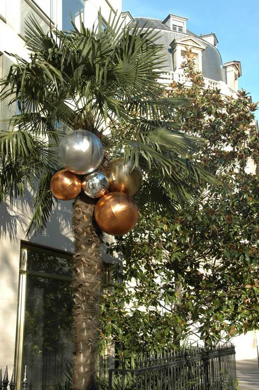 DSC 4566