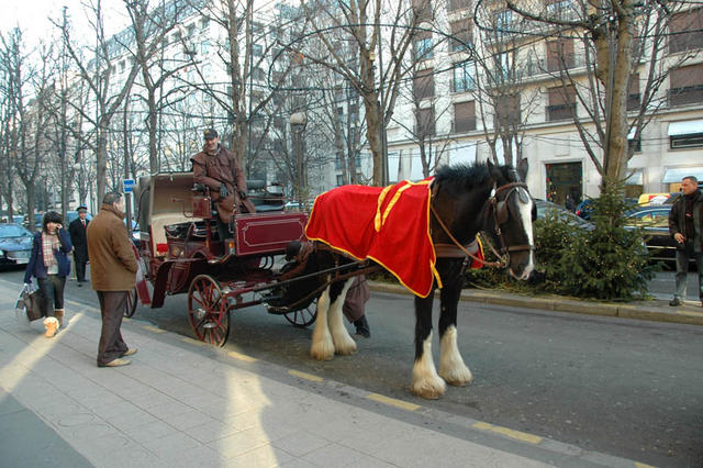 DSC 4593