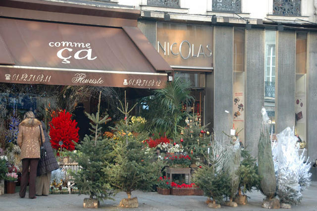 DSC 4698
