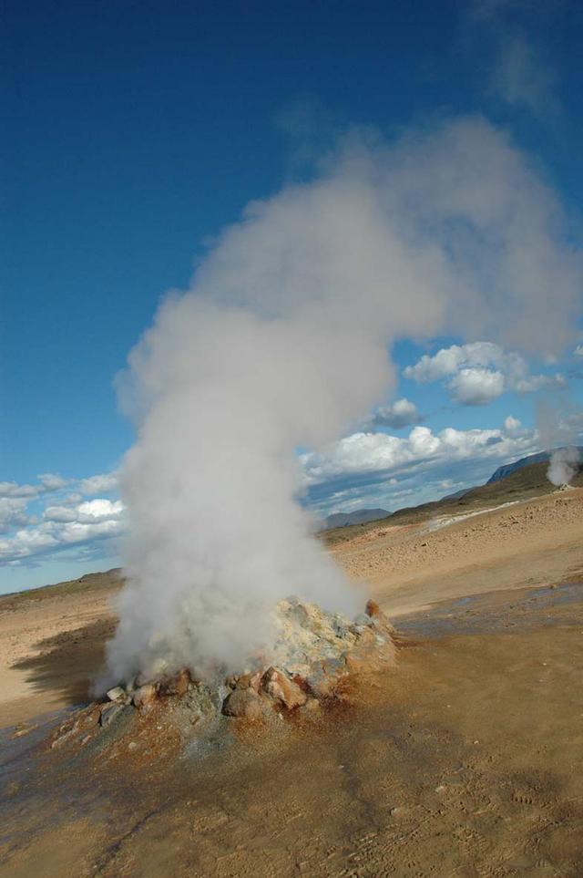 DSC 1330