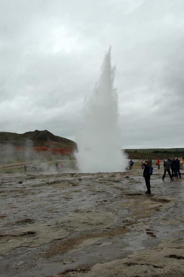 DSC 1684