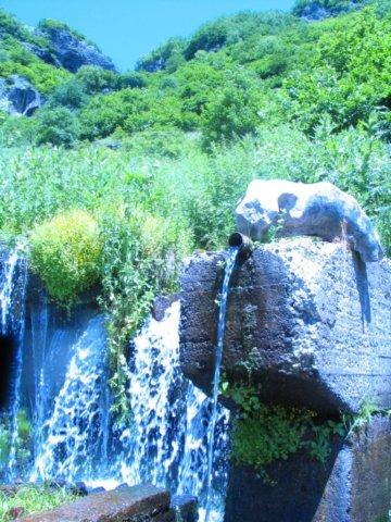 Caucasus