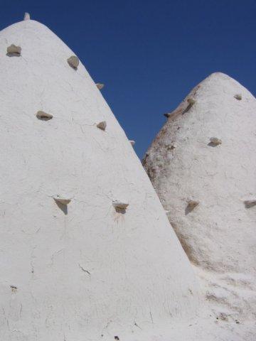 Beehive houses