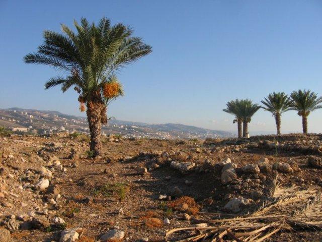 Byblos