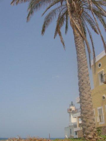Tyre