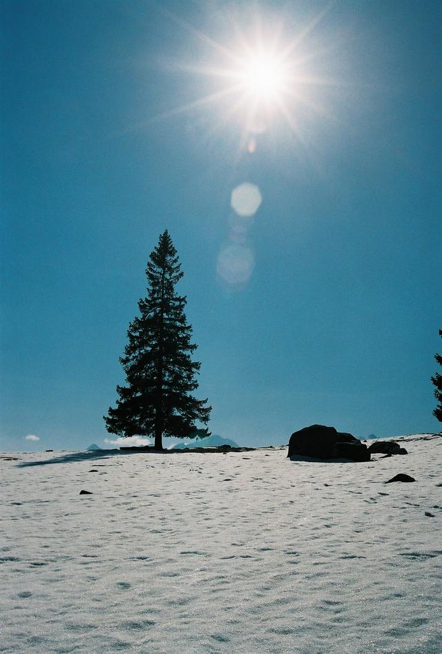 Tatry, Rusinowa Polana