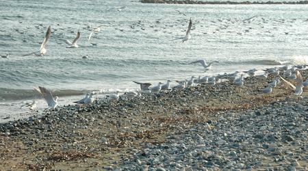 DSC 5304 – Limassol, Cypr