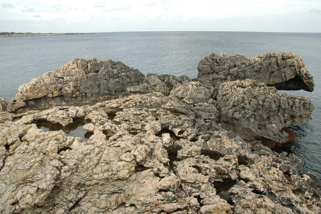 DSC 5995