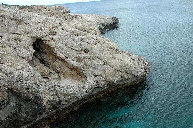 DSC 6016