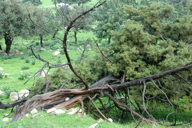 DSC 6097 półwysep AKAMAS