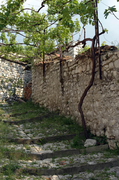 Berat (14)
