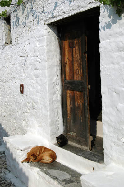 Berat (18)