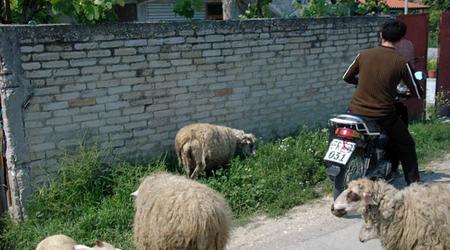 Droga do Beratu (2) – Albania