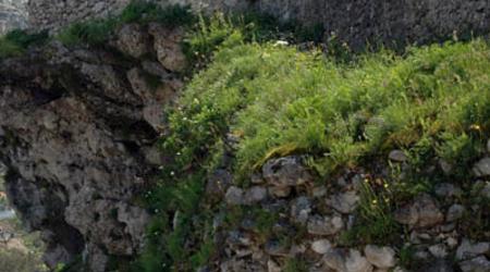 Kruja (20) – Albania