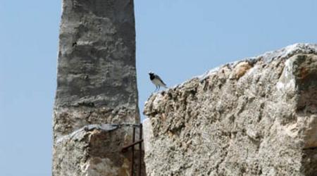 Kruja (24) – Albania