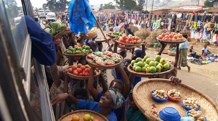 targ z okna autobusu – Malawi