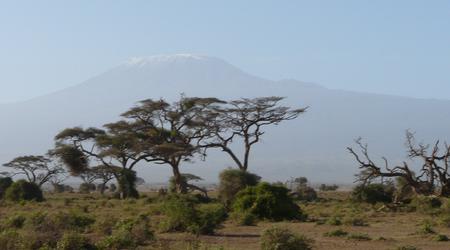 Kilimandżaro – Amboseli, Kenia