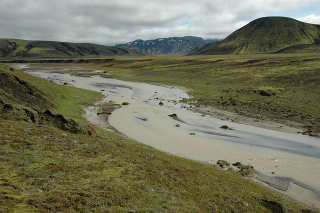 DSC 0061