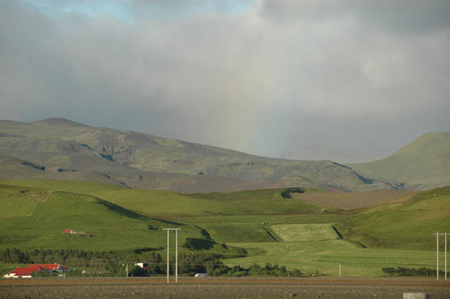 DSC 0241