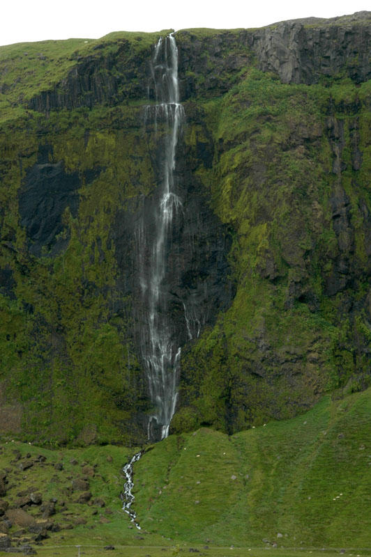 DSC 0421