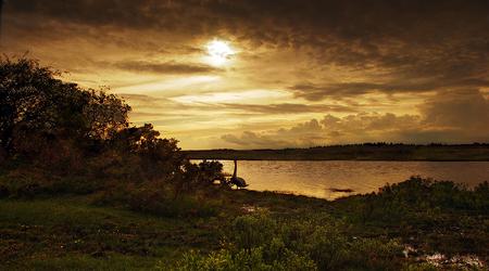 Hatchet Pond – Anglia, Wielka Brytania