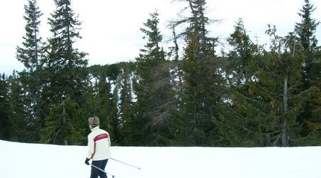 Drzewa – Štrbské Pleso, Słowacja
