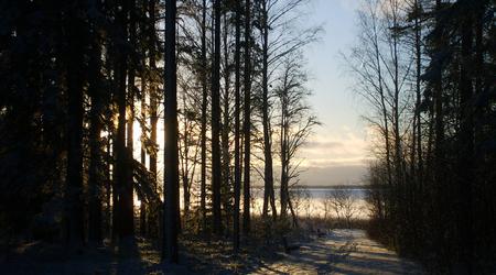 Fińska przyroda – Finlandia