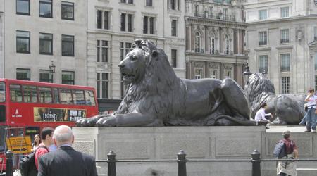 Lew na Trafalgar Sq – Trafalgar Square, Wielka Brytania