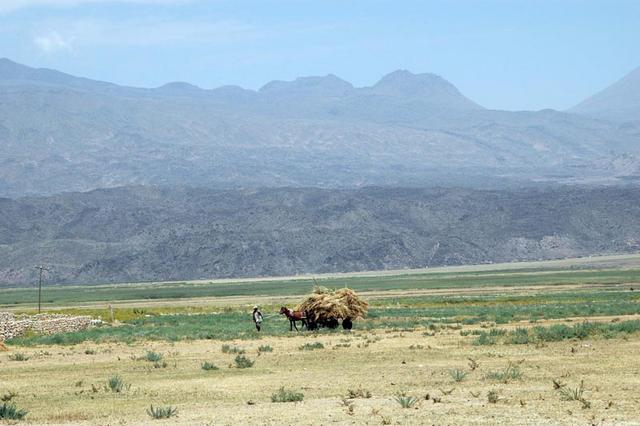 Wioska kurdyjska  (16)