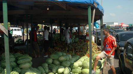 Manaus (36) – Brazylia