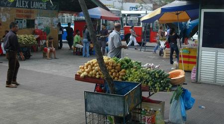 Manaus (38) – Brazylia